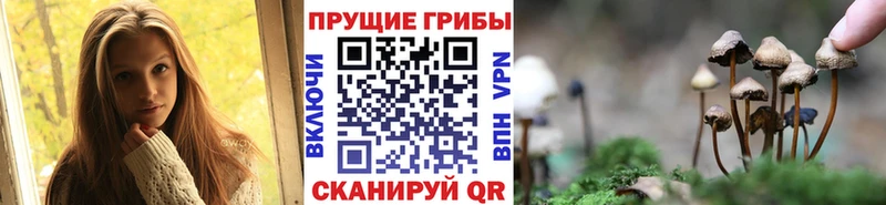 Галлюциногенные грибы Magic Shrooms  Емва 